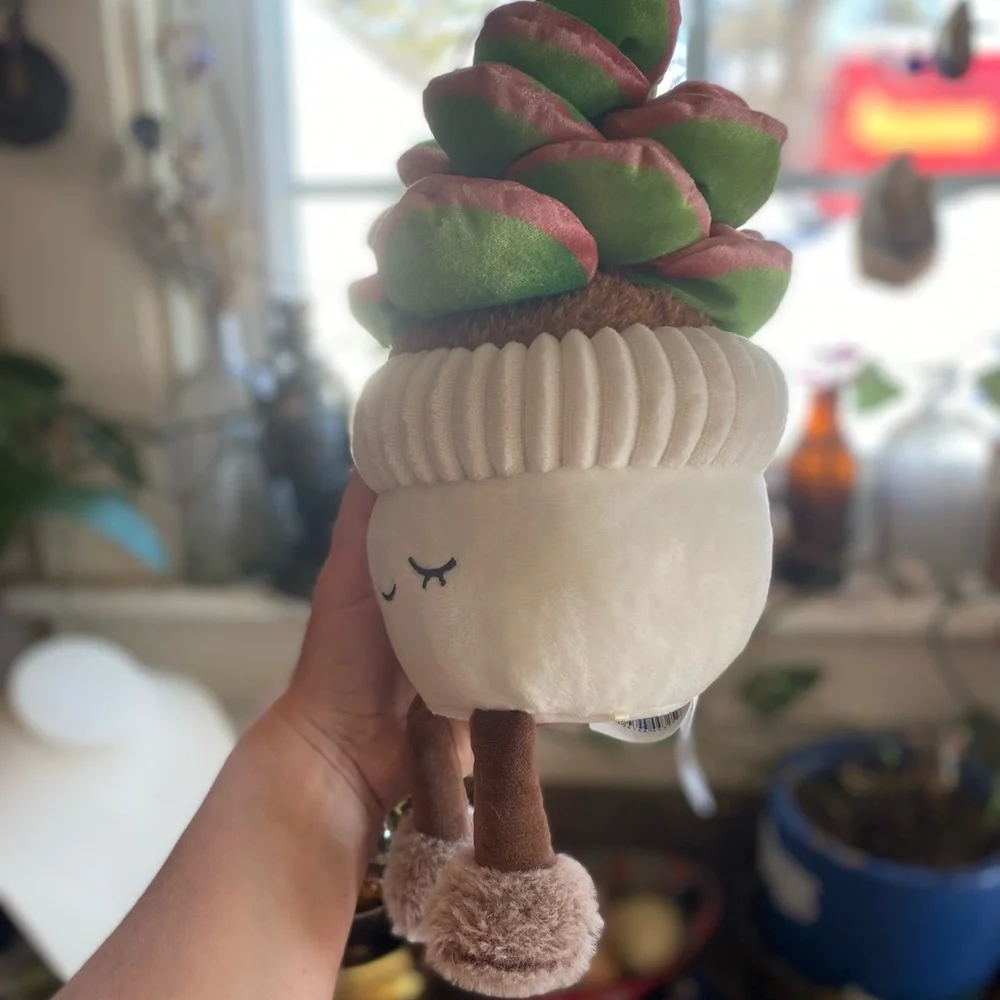 Sleepy Cozy Potted Succulent Plush CUTIE Decor PLANT LOVERS 🏜️🪷